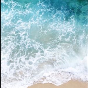 Meet your Posher, Dahlia